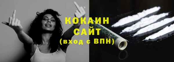 шишки Армянск