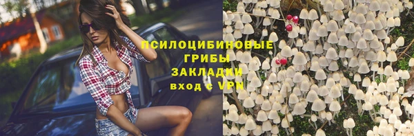 шишки Армянск