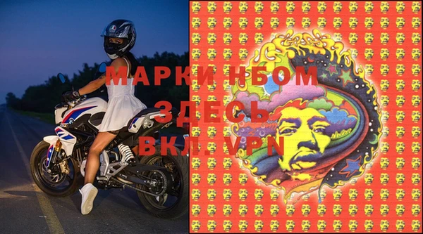 шишки Армянск