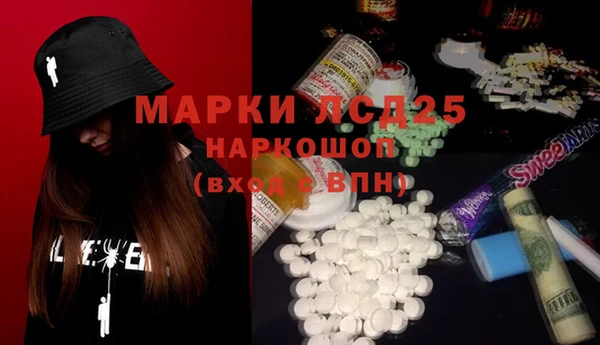 шишки Армянск
