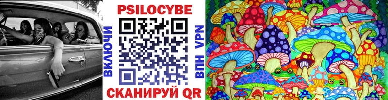 Галлюциногенные грибы Psilocybine cubensis  Николаевск 